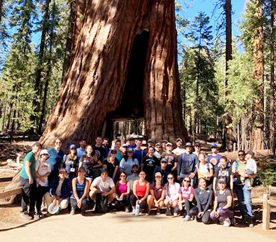 Students out in the field, doing work for UCLA Law's Emmett Institute