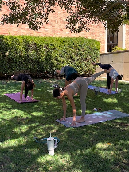 UCLA Law students practicing yoga