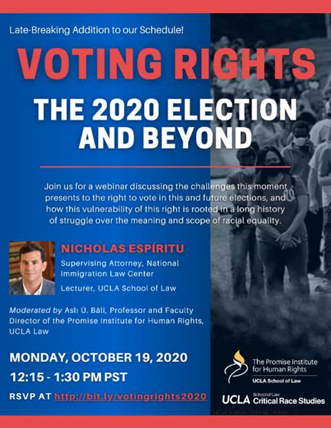 Poster from Voting Rights: the 2020 Election and Beyond