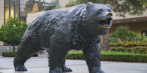 Bruin bear statue