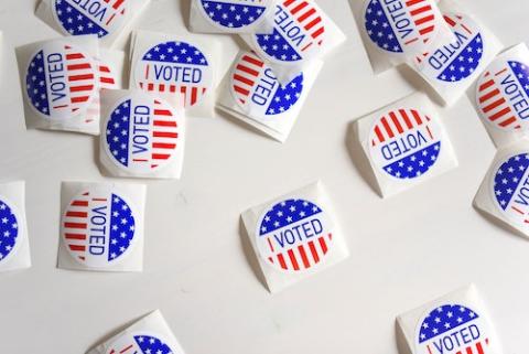 UCLA Law faculty on issues in the midterm elections