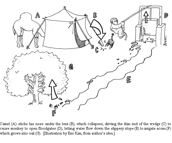 Text Box:  
Camel (A) sticks his nose under the tent (B), which collapses, driving the thin end of the wedge (C) to cause monkey to open floodgates (D), letting water flow down the slippery slope (E) to irrigate acorn (F) which grows into oak (G).  [Illustration by Eric Kim, from authors idea.]



